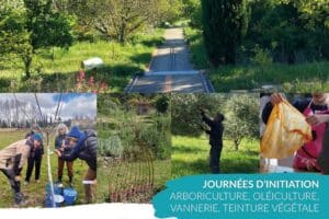 Stage "La taille douce des arbres fruitiers à noyaux"_Manosque