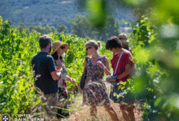 Visite du Château Saint Jean & dégustation_Manosque