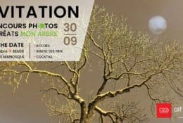 Invitation Mon Arbre