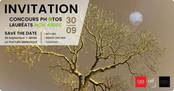 Invitation Mon Arbre