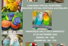 Affiche expo