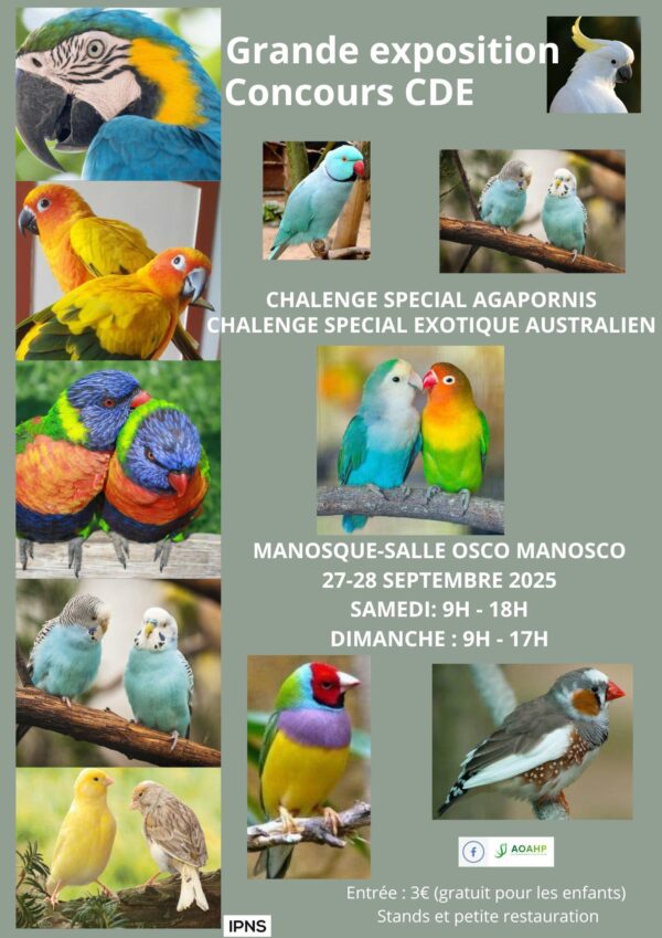 Affiche expo