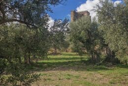 Balade littéraire JEP Jean Giono et le Mont d'Or_Manosque