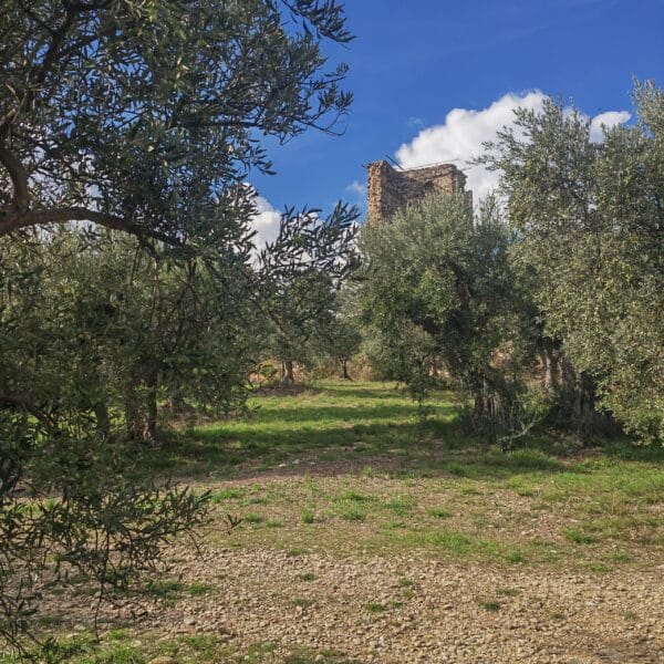 Balade littéraire JEP Jean Giono et le Mont d'Or_Manosque