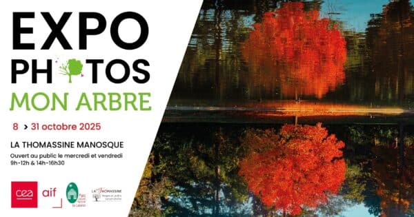 Exposition de photos : Mon arbre