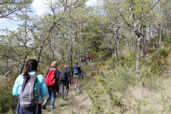 Balade "À la découverte des trésors cachés du site de la Thomassine"_Manosque
