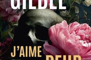 j-aime-votre-peur-le-meilleur-de-karine-giebel-en-histoires-courtes-14-nouvelles-de-l-autrice-de-thrillers
