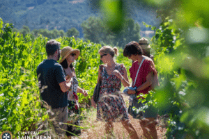 Visite du Château Saint Jean &amp; dégustation_Manosque