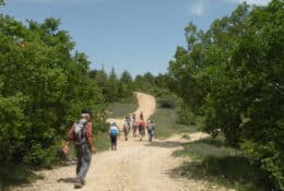 Sortie buissonnière "Biodiversité et pastoralisme : défense contre les incendies"_Manosque