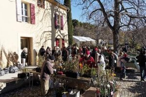 Journée des fruits et saveurs d'autrefois