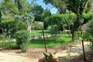 Les jardins de Jean Giono un champs d’expérimentation et d’imaginaire._Manosque